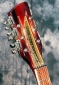 Rickenbacker_Tom-Petty_head_detail2