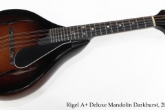 Rigel A+ Deluxe Mandolin Darkburst, 2001 Full Front View