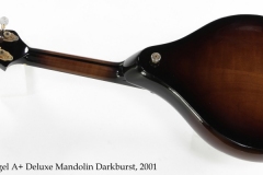 Rigel A+ Deluxe Mandolin Darkburst, 2001 Full Rear View