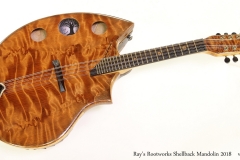 Ray's Rootworks Shellback Mandolin 2018  Full Front View