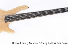 Roscoe Century Standard 5 String Fretless Bass Natural, 2014 Full Front View