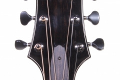 Ryan Paradiso Grand Concert Steel String Guitar, 2020 Head Front View