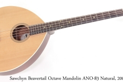 Sawchyn Beavertail Octave Mandolin ANO-83 Natural, 2007 Full Front View