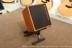 Schertler David Acoustic Guitar Amp Cherry, 2018   Front View