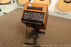 Schertler David Acoustic Guitar Amp Cherry, 2018   Rear View