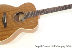 Seagull Concert Hall Mahogany SG/AE Full Front View