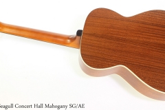 Seagull Concert Hall Mahogany SG/AE Full Rear View