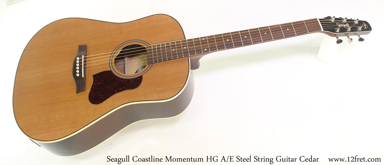 Seagull Coastline Momentum HG A/E Steel String Guitar Cedar Full Front View