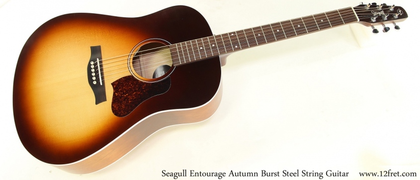 Seagull Entourage Autumn Burst Steel String Guitar Full Front View