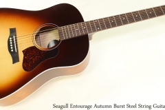 Seagull Entourage Autumn Burst Steel String Guitar Full Front View