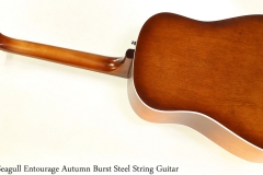 Seagull Entourage Autumn Burst Steel String Guitar Full Rear View