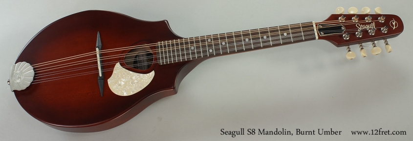 Seagull S8 Mandolin, Burnt Umber Full Front View