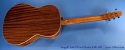 seagull-sws-folk-hg-full-rear-1