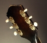 Silvertone_628_1957_ss_head_rear_1