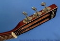 simon-and-patrick-woodland-pro-folk-sb-hg-tuners-1