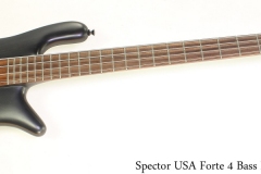 Spector USA Forte 4 Bass Black, 2015 Full Front View