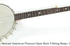 S.S. Stewart American Princess Open Back 5-String Banjo, 1899 Full Front View