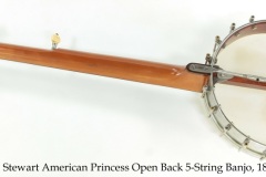 S.S. Stewart American Princess Open Back 5-String Banjo, 1899 Full Rear View