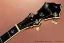 Stelling Bellflower Banjo 1980 head front view