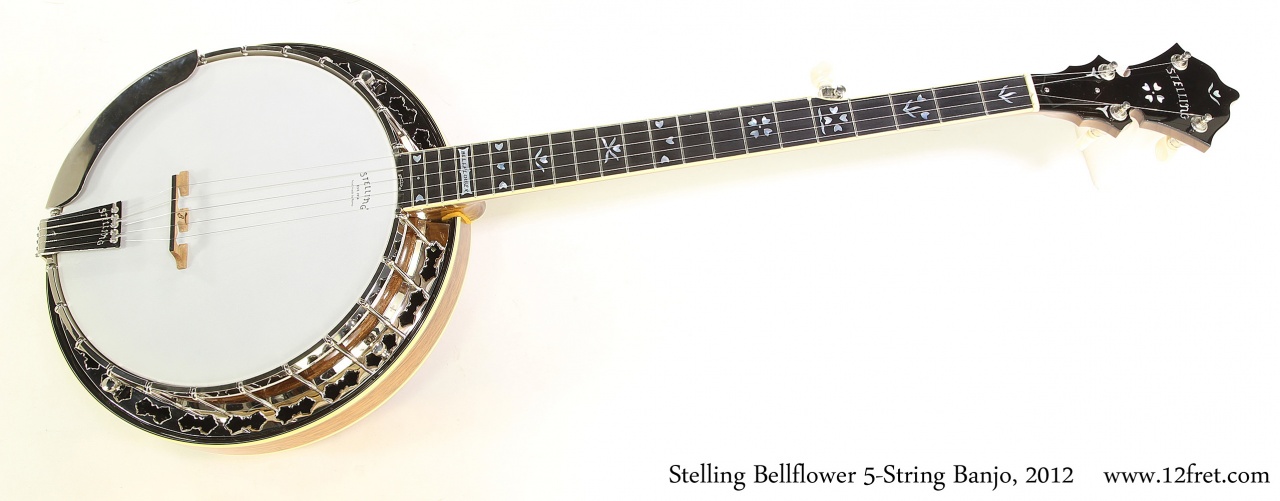 Stelling Bellflower 5-String Banjo, 2012 Full Front View