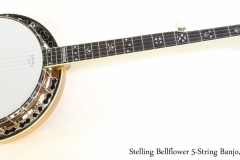 Stelling Bellflower 5-String Banjo, 2012 Full Front View