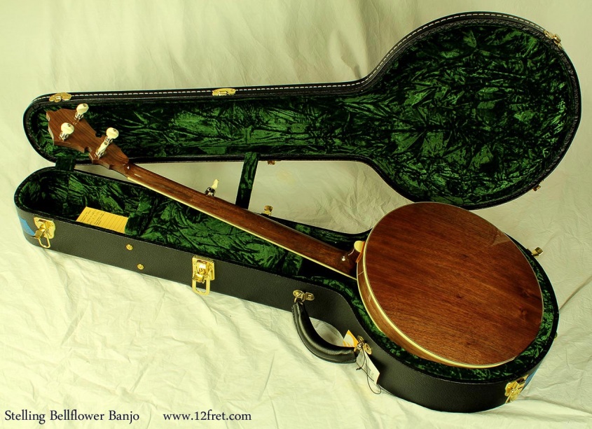 Stelling Bellflower 5-String Banjo Case Open Back View