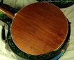 Stelling Bellflower 5-String Banjo  Resonator Back