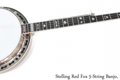 Stelling Red Fox 5-String Banjo, 1991 Full Front View