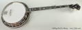 Stelling Red Fox Banjo, 2015 Full Front View