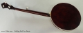 Stelling Red Fox Banjo, 2015 Full Rear View