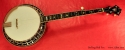 Stelling Red Fox Banjo full front view