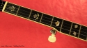 Stelling Red Fox Banjo fingerboard inlay 1