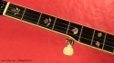 Stelling Red Fox Banjo fingerboard inlay 1