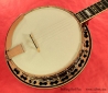 Stelling Red Fox Banjo top 1