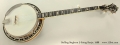 Stelling Staghorn 5-String Banjo, 1988 Full Front View