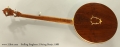 Stelling Staghorn 5-String Banjo, 1988 Full Rear View