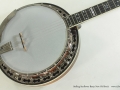 Stelling Sunflower Banjo New Old Stock top