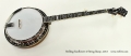 Stelling Sunflower 5-String Banjo, 2013 Full Front View
