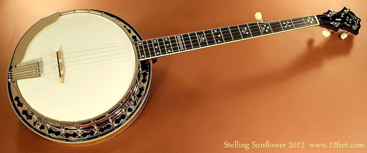 Stelling banjo dealers discount