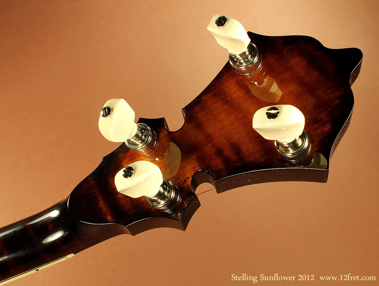 Stelling sunflower store banjo