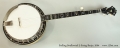 Stelling Swallowtail 5-String Banjo, 2004 Full Front View