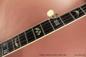 Stelling Swallowtail Deluxe Banjo 2005 fingerboard inlay 1