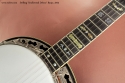 Stelling Swallowtail Deluxe Banjo 2005  fingerboard inlay 2