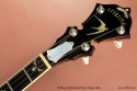 Stelling Swallowtail Deluxe Banjo 2005  head front view