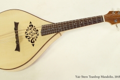 Yair Stern Teardrop Mandolin, 2018  Full Front View