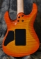 Suhr_Modern Carvetop_2010(C)_back