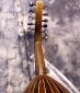 Sukar_oud_head_rear_1