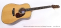Takamine 45th Sapphire Anniversary Steel String Guitar, 2007 Full Front View
