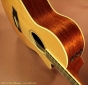 taylor-12fret-mahogany-controls-1