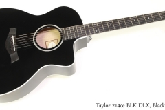 Taylor 214ce BLK DLX, Black Full Front View